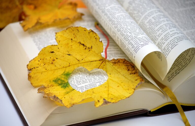 How to Use Online Assessments for Learning: 11xplay online id, Diamondexch9 login, Sky exchange registration