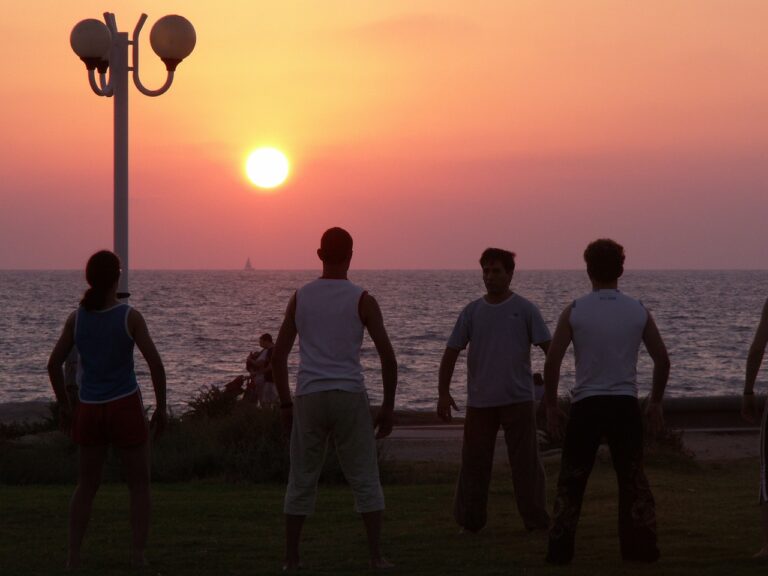 The Role of Hospice Volunteers in Providing Companionship: Gold bet, Tiger exch login, Betbook250