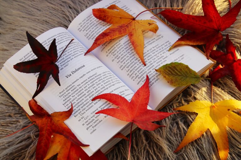 How to Develop Collaboration Skills: Sky247, Diamondexch9, Tigerexch247