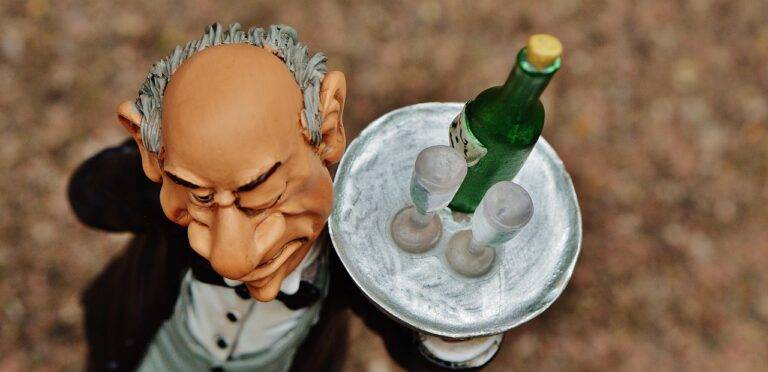 The Influence of Music Streaming on Music Consumption Habits: Binge-Listening vs. Selective Listening: Betbhai9.com whatsapp number, Playexch app, Lotus 365 login