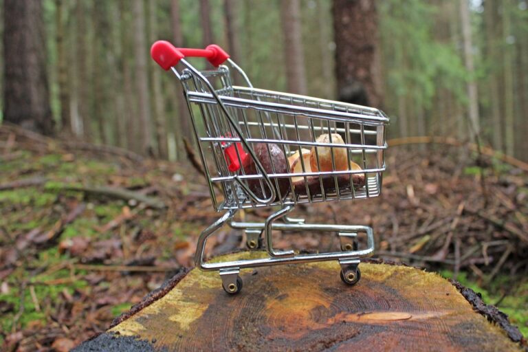 How to Shop for Eyewear with Specific Lens Coatings: 11xplay.com online, India 24 bet login, Skyinplay login