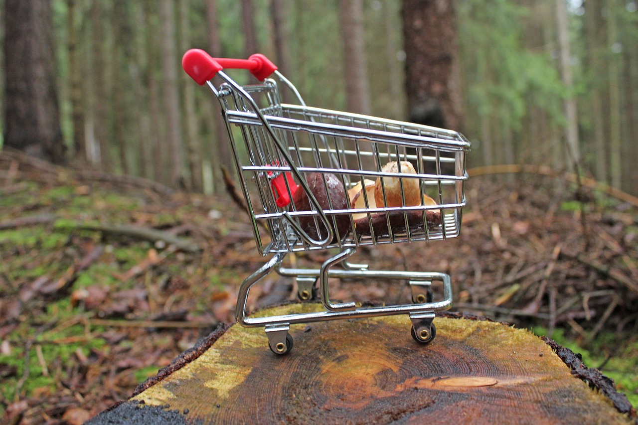 How to Shop for Eyewear with Specific Lens Coatings: 11xplay.com online, India 24 bet login, Skyinplay login