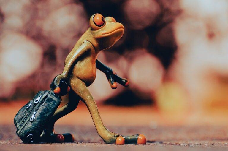 Travel Safety Tips for Family Travelers