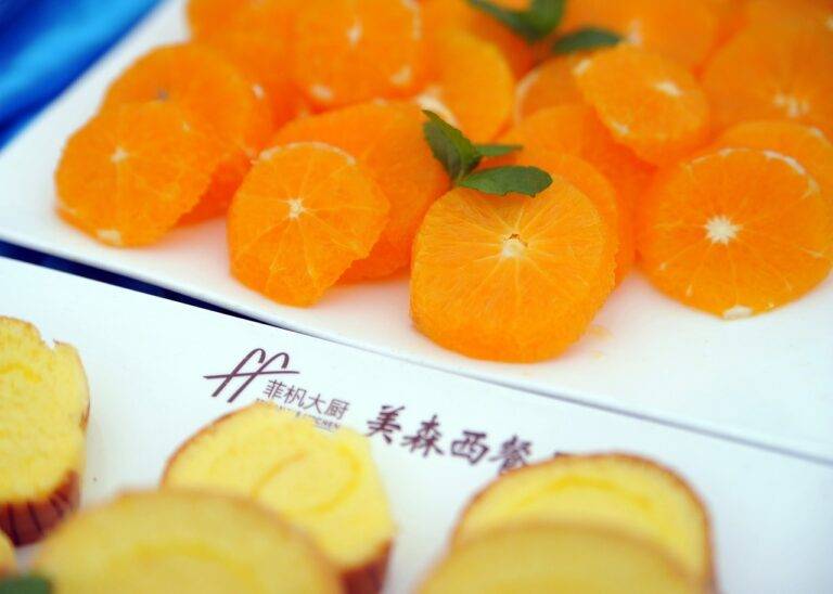 The Evolution of Functional Supplements for Skin and Coat Health in Pets: All panel.com sign up, Lotus 365 book, Betbook 247.com login