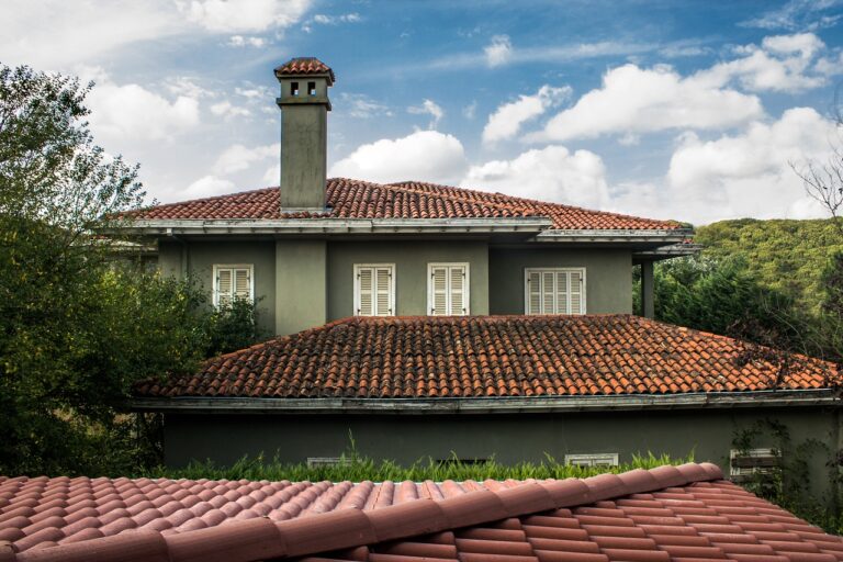 The Advantages of Using Energy-Efficient Appliances in Your Kitchen