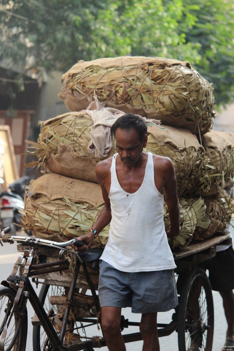 Strategies for Small Donor Fundraising: Betbook250, 11xplay.pro/login, Yolo247 login