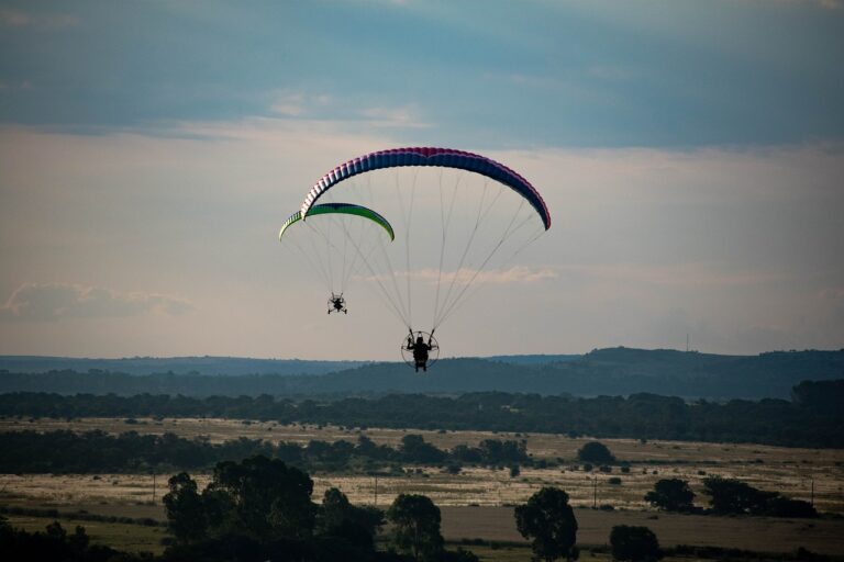 The Impact of Streaming on Independent Movie Studios