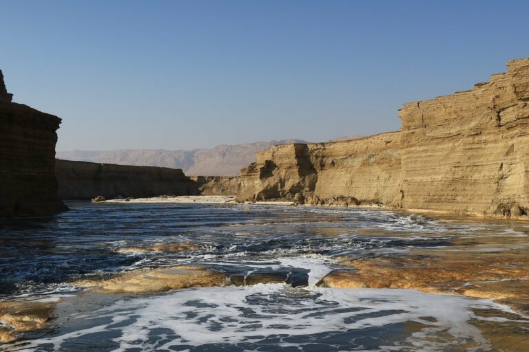 How to Shop for Eyewear at Outlet Stores: 11xplay login, King567, Skyinplay.com login