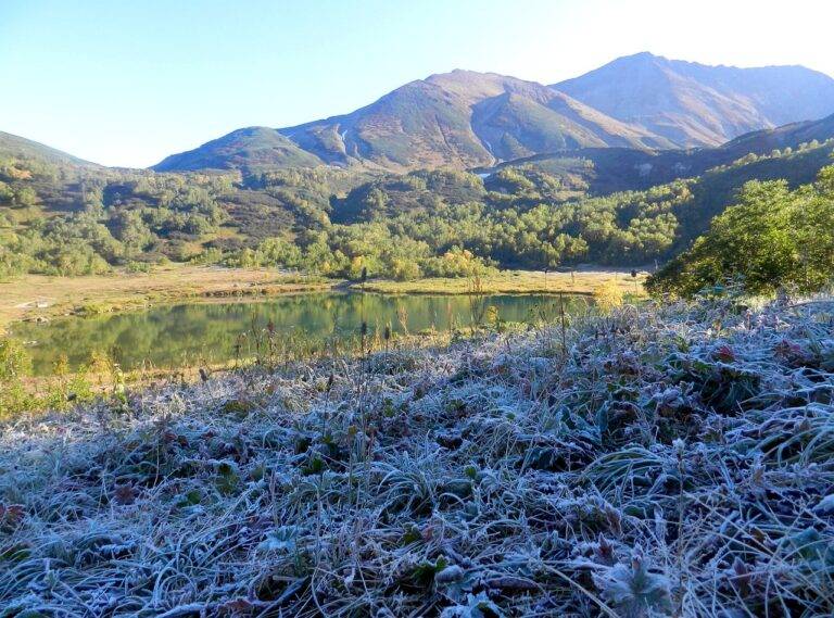 Trends in Grassroots Fundraising for Elections: All pannel.com, Cricket bet99, Lotus365 vip login