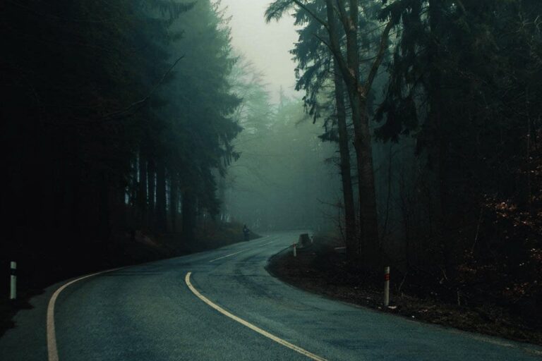 Fashion Retail Trends: Online Marketplaces vs. Department Store Websites: 11xplay id, Laser247.com login, World777 sign up