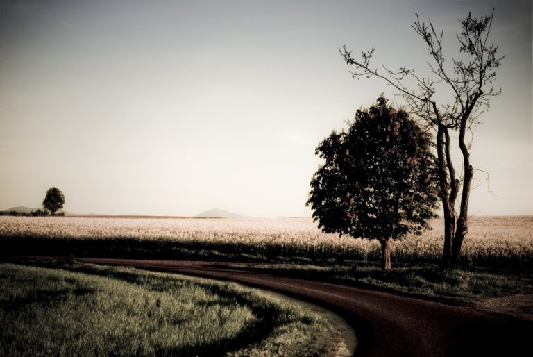 Compliance Challenges in Implementing Automotive Data Governance Mechanisms: Bet book 250.com, Radhe exchange login, Yolo247 club login