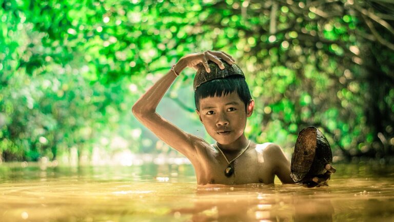 How to Foster a Love for the Game in Youth Cricketers: Silverexch com, Goldenexch create account, Betbook247 com login