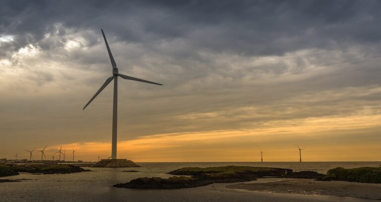 The Role of Social Media in Customer Acquisition: Cricketbets999.com login, 11xplay reddy login, Betbhai 9.com